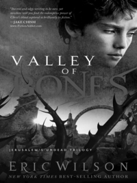 Cover image: Valley of Bones 9781595544605