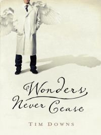 Imagen de portada: Wonders Never Cease 9781595543097