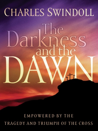 Cover image: The Darkness and the Dawn 9780849911897