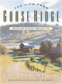 Immagine di copertina: The View from Goose Ridge 9780785266556