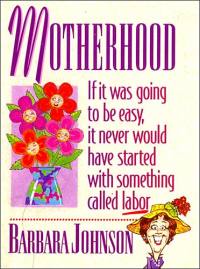 Cover image: Motherhood Mini Book 9780849950872