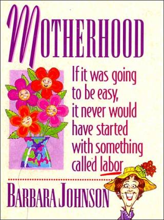 Cover image: Motherhood Mini Book 9780849950872