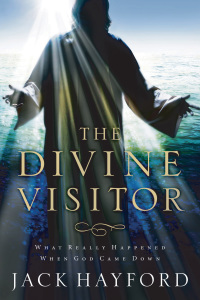 Cover image: The Divine Visitor 9780849918957