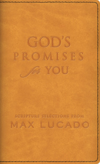 Cover image: God's Promises for You 9781404113510