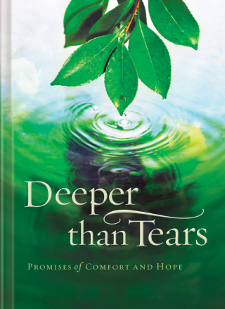 Cover image: Deeper than Tears 9780849914966