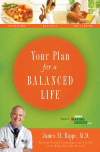 Cover image: Your Plan For a Balanced Life 9781401603922