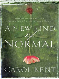 Cover image: A New Kind of Normal 9780849901997