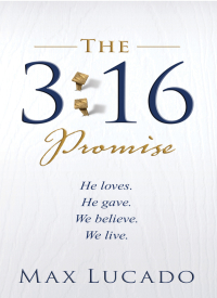 Cover image: The 3:16 Promise 9780849919190