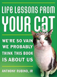 Imagen de portada: Life Lessons from Your Cat 9781401603427