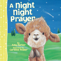 Cover image: A Night Night Prayer 9781400312849