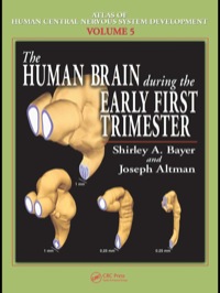 Cover image: The Human Brain During the Early First Trimester 1st edition 9780849314247