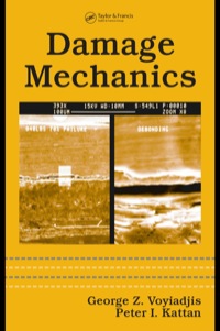 Cover image: Damage Mechanics 1st edition 9780367392574
