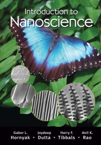 Omslagafbeelding: Introduction to Nanoscience 1st edition 9781420048056