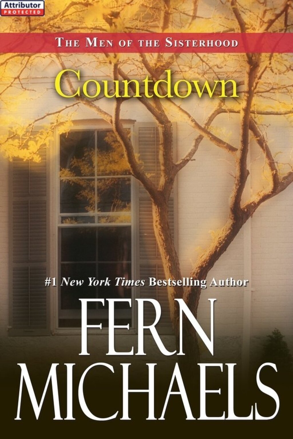 Countdown (eBook)