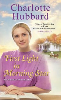 Cover image: First Light in Morning Star 9781420151824