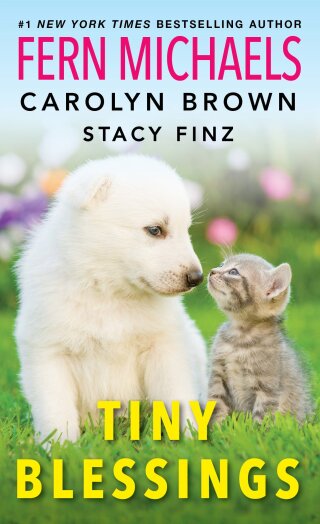 Imagen de portada: Tiny Blessings 9781420155822