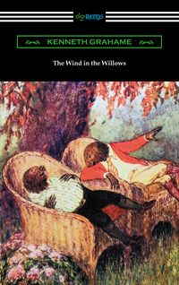 Cover image: The Wind in the Willows (Illustrated by Nancy Barnhart) 1st edition 9781420951806