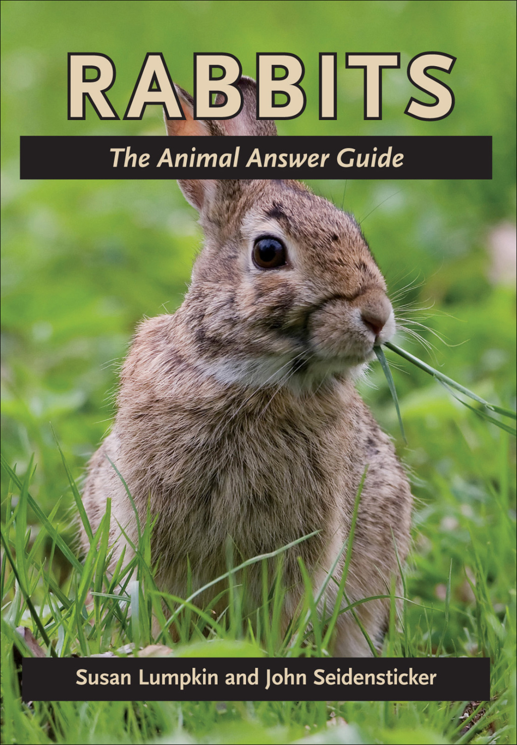 Rabbits The Animal Answer Guide