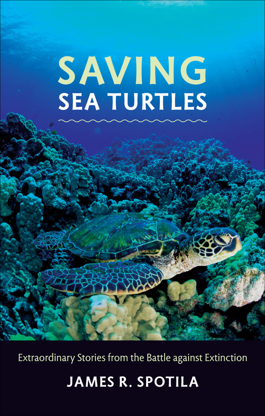 Saving Sea Turtles Extraordinary Stories from the Battle against Extinction
