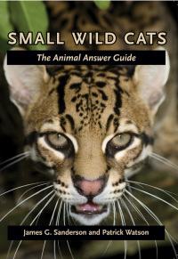 表紙画像: Small Wild Cats 9780801898853