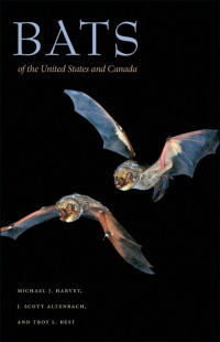 Cover image: Bats of the United States and Canada 9781421401911