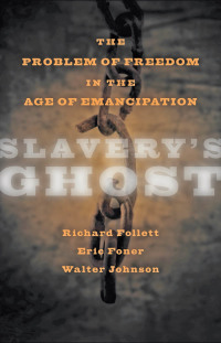 Omslagafbeelding: Slavery's Ghost 9781421402369