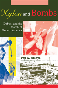 Cover image: Nylon and Bombs 9780801884443
