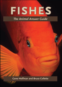 Cover image: Fishes 9781421402222
