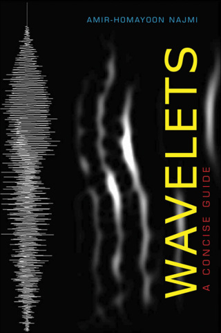 Imagen de portada: Wavelets 9781421404967