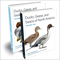 صورة الغلاف: Ducks, Geese, and Swans of North America 2nd edition 9781421407517