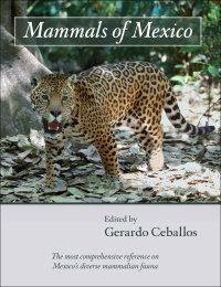 表紙画像: Mammals of Mexico 9781421408439