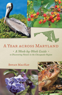 Cover image: A Year across Maryland 9781421409399
