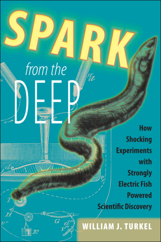 表紙画像: Spark from the Deep 9781421409818
