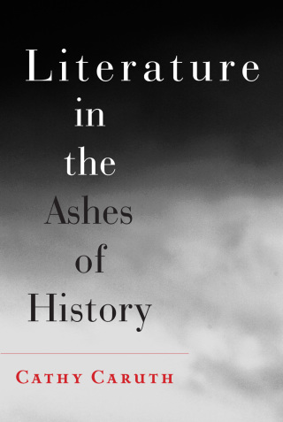صورة الغلاف: Literature in the Ashes of History 9781421411552