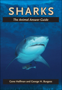 Cover image: Sharks 9781421413082