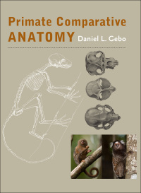 Cover image: Primate Comparative Anatomy 9781421414898