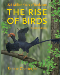 Cover image: The Rise of Birds 2nd edition 9781421415901