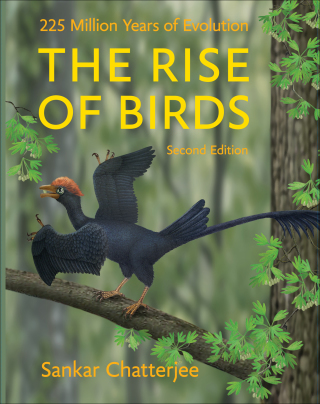 صورة الغلاف: The Rise of Birds 2nd edition 9781421415901