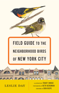 Cover image: Field Guide to the Neighborhood Birds of New York City 9781421416182