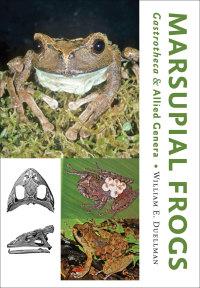 Cover image: Marsupial Frogs 9781421416755