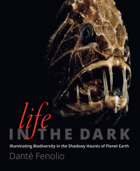 Cover image: Life in the Dark 9781421418636