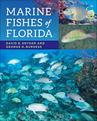 Cover image: Marine Fishes of Florida 9781421418728