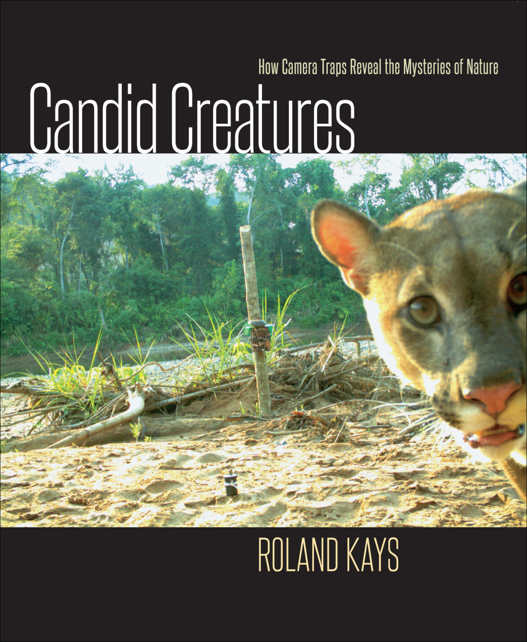 Candid Creatures How Camera Traps Reveal the Mysteries of Nature