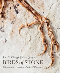 Imagen de portada: Birds of Stone 9781421420240