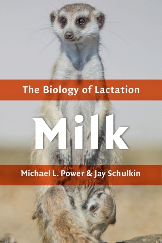 Cover image: Milk 9781421420424