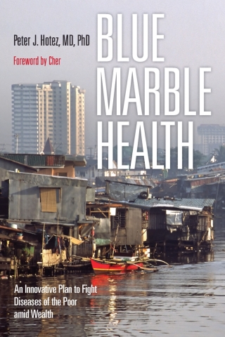 Cover image: Blue Marble Health 9781421420462