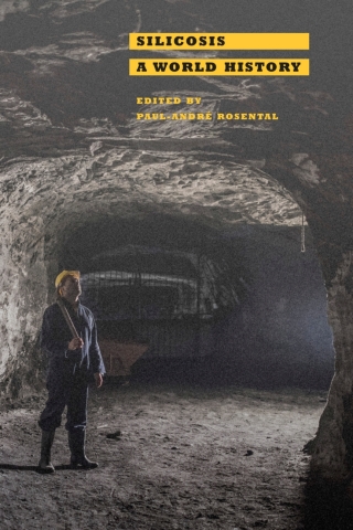Cover image: Silicosis 9781421421551