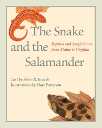 Cover image: The Snake and the Salamander 9781421421575