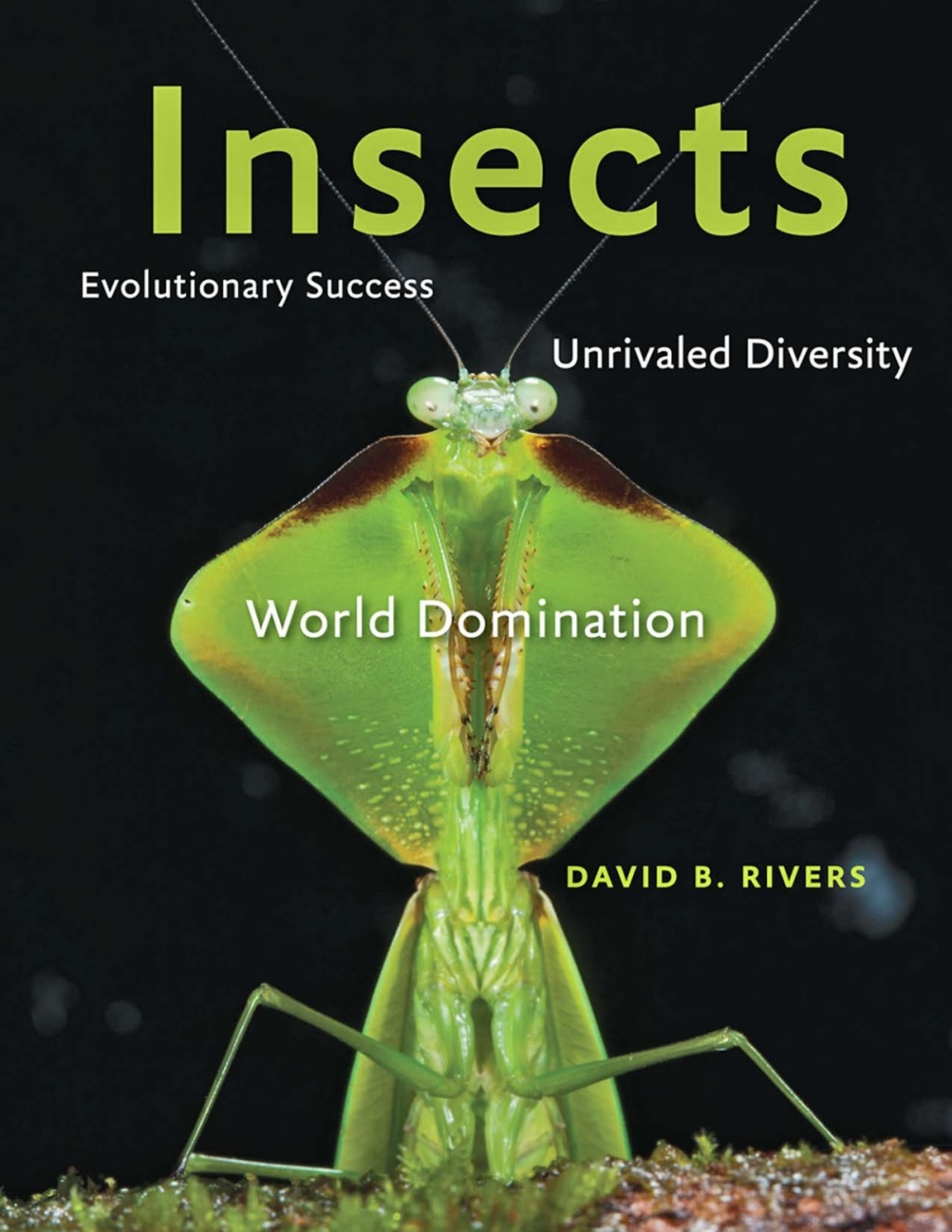 Insects Evolutionary Success, Unrivaled Diversity, and World Domination