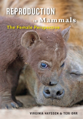 Cover image: Reproduction in Mammals 9781421423159